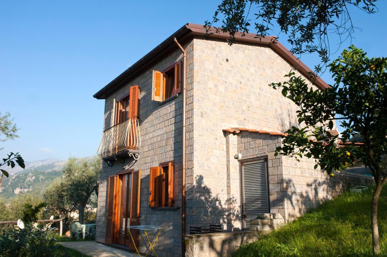 Agriturismo L'Olivara Piano di Sorrento Exterior photo